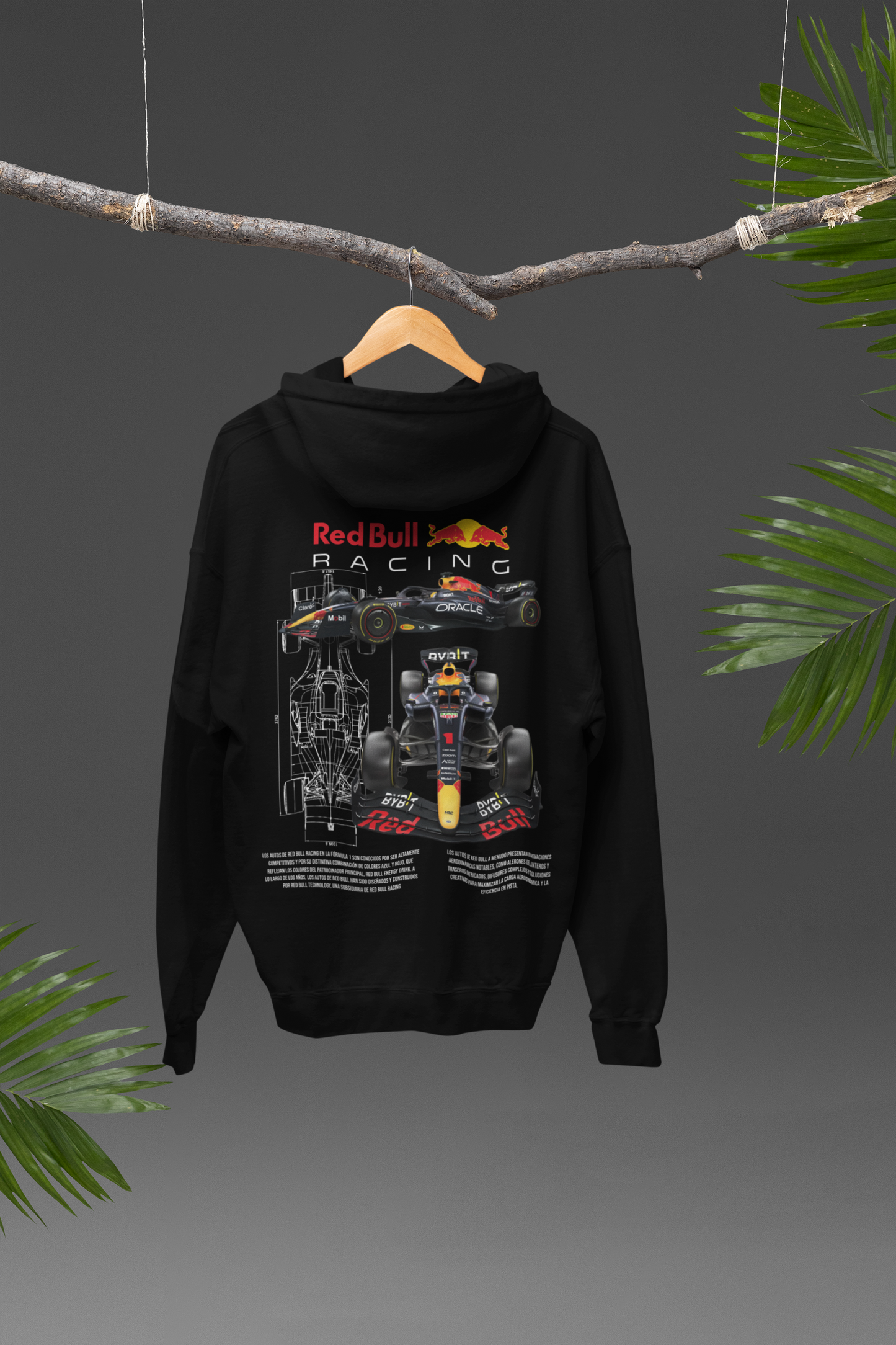 RedBull F1 Team Hoodie